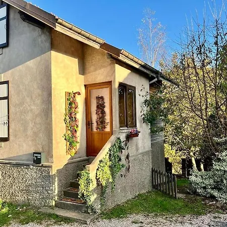 Des Randonneurs, Jardin & Bbq Et Borne Ve Gérardmer