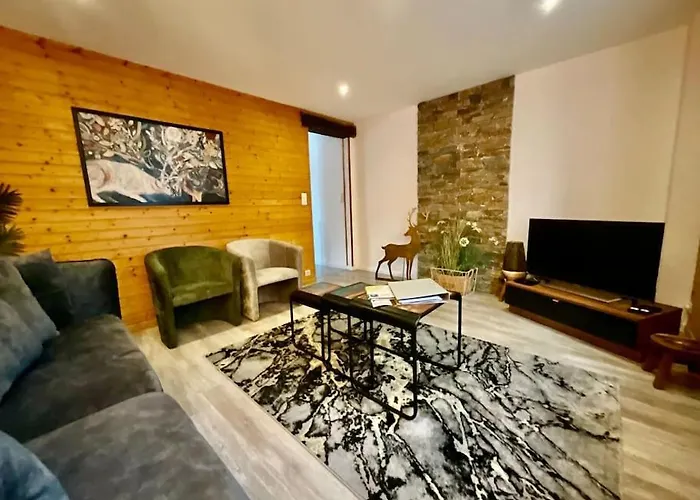 Des Randonneurs, Jardin & Bbq Et Borne Ve * Gérardmer