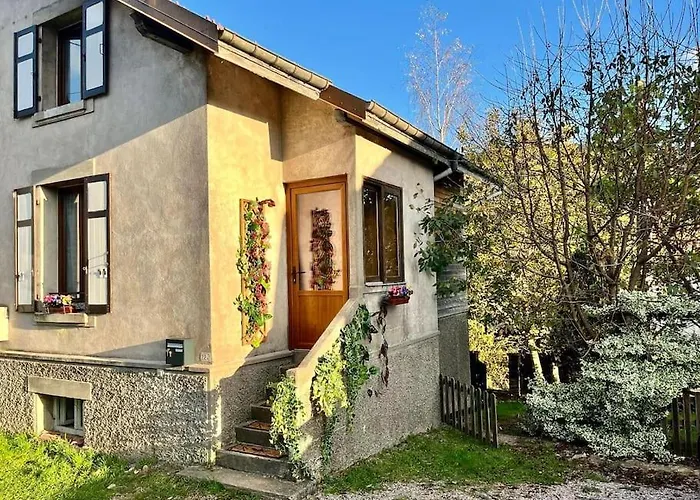 Des Randonneurs, Jardin & Bbq Et Borne Ve Gérardmer